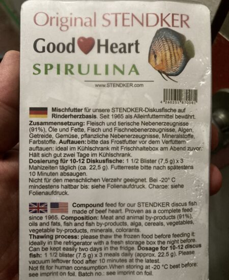 Pastone Stendker spirulina cubetti